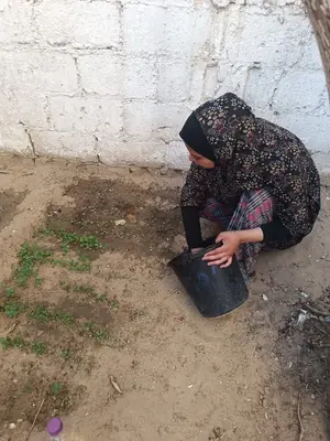 Culture entre les tentes - Gaza 4